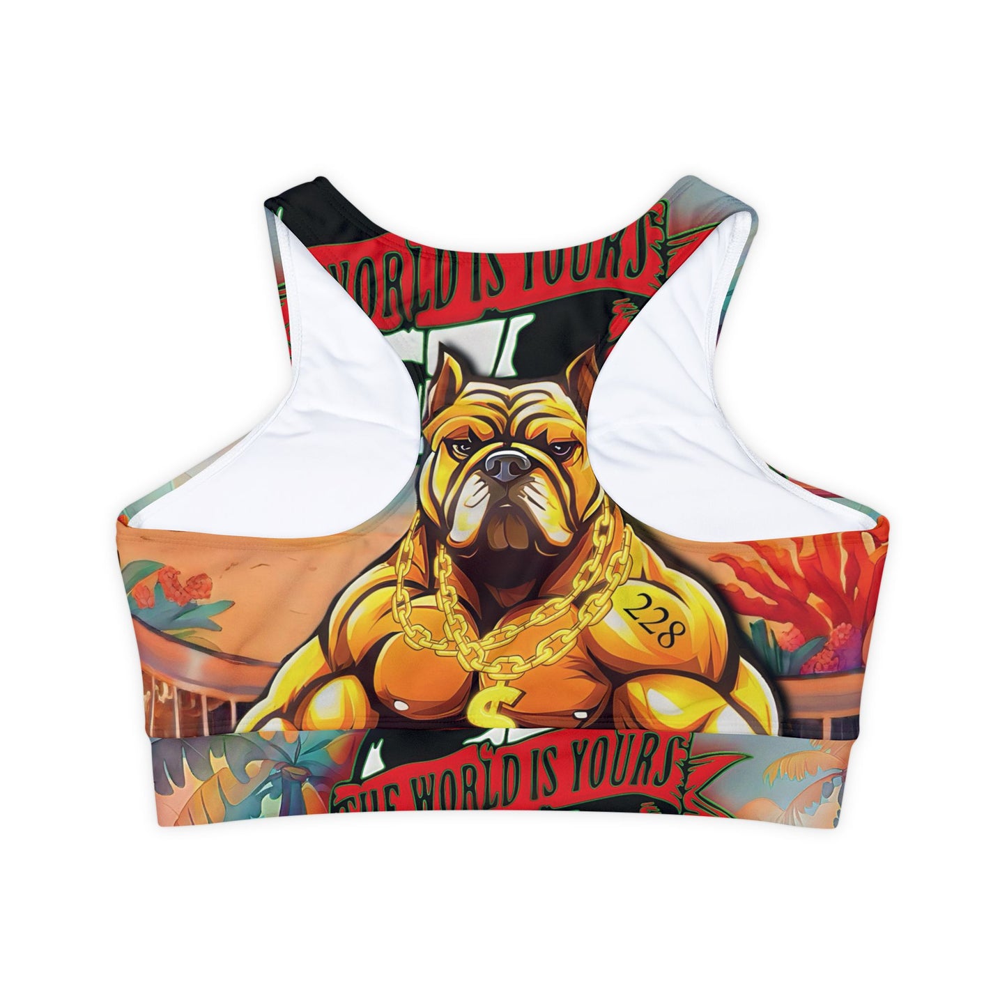 Padded Sports Bra - Mr ELITE Design